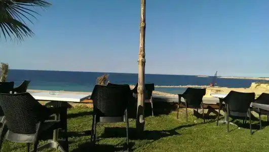 Delphin Resort Monastir - 15