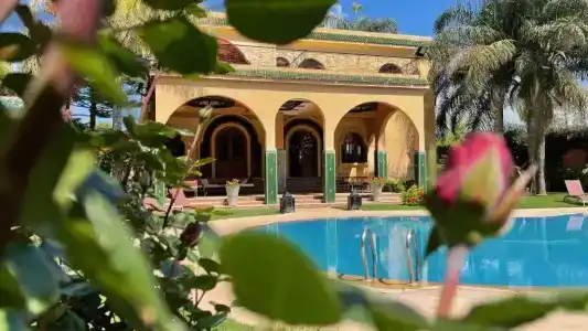 Riad Noumidya - 39