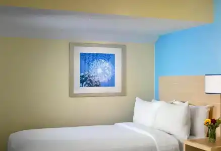 Sonesta ES Suites - 5