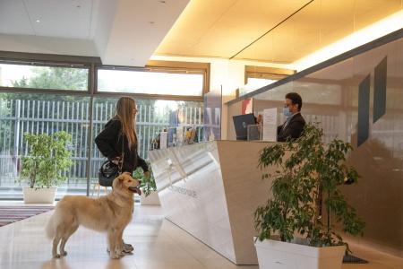 Pestana Berlin Tiergarten - 44