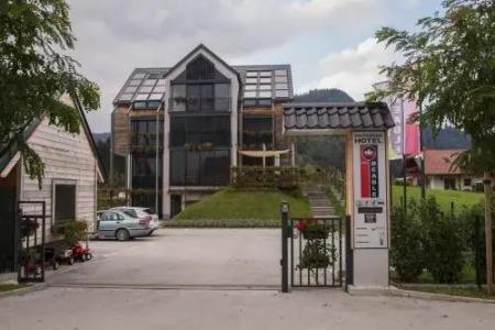 Eco Boutique Ams Beagle - 0