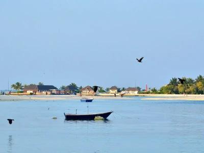 Madagali Inn - 17