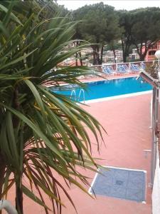 Residence i Morelli - 42