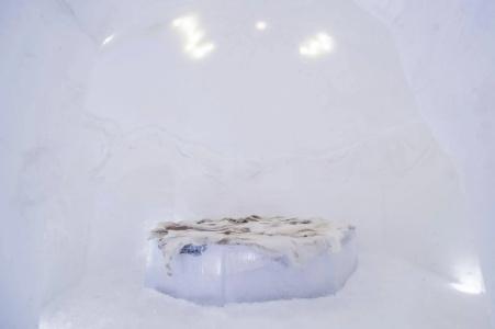 Sorrisniva Igloo - 2