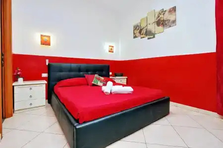 Dandi Domus - 2