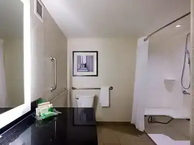 Holiday Inn Washington Capitol-National Mall, An Ihg - 90