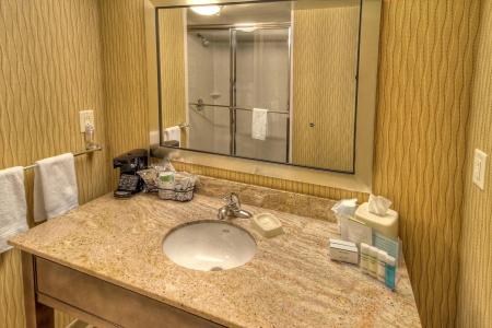Hampton Inn & Suites/Henrietta - 7
