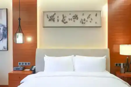 Holiday Inn Nanjing Xuanwu Lake, An Ihg - 53