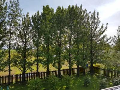 Haukaberg House - 65