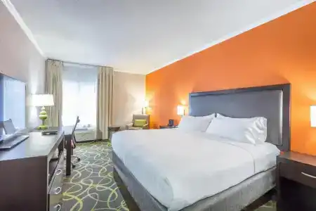 Holiday Inn Express Island, An Ihg - 79