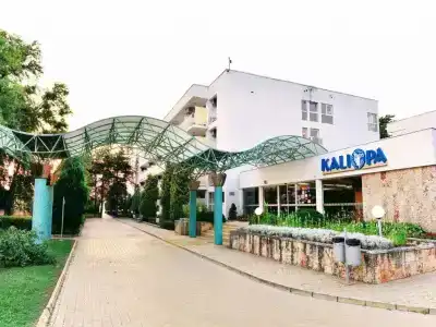 Калиопа - 21