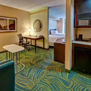 SpringHill Suites Old Dominion University - 26
