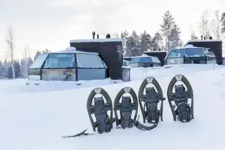 Arctic Fox Igloos - 35