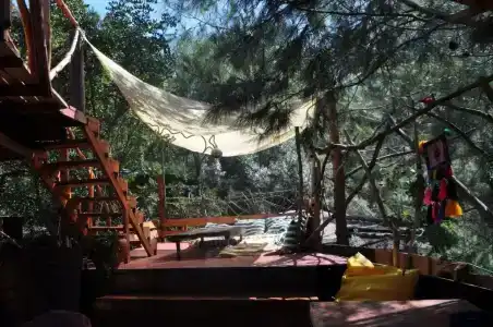 Reflections Camp - 0