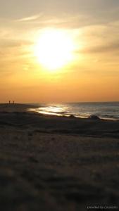 Provincetown Inn - 19