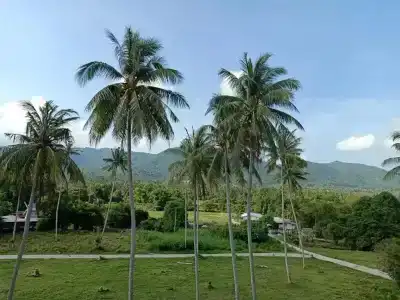Amarin Samui - Sha Plus Certified - 100