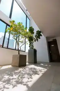 Gardenia - 134