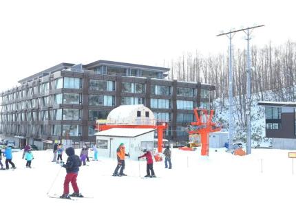 Aya Niseko - 29