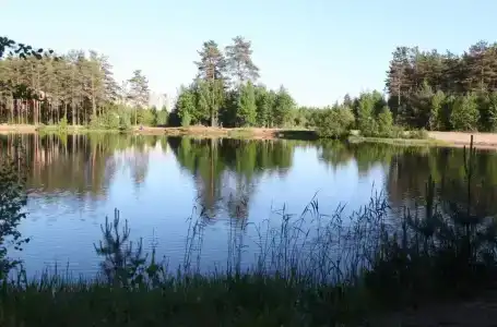 Южный Хутор - 15