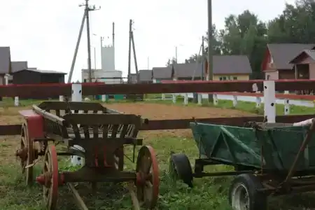 Кфх Ольгино - 1
