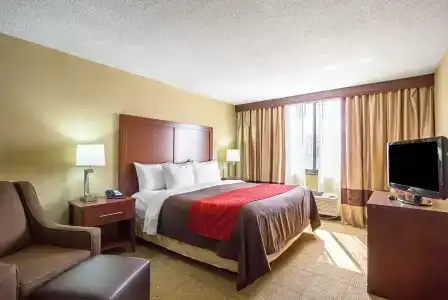 Comfort Inn Downtown - 4