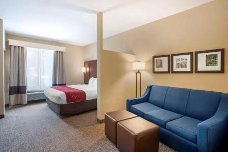 Comfort Suites North - 98