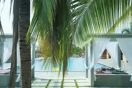 Brahmi Wellness Retreat & Spa - 18