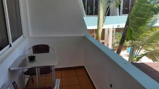 New Garden - 48