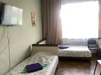 Кедр - 1