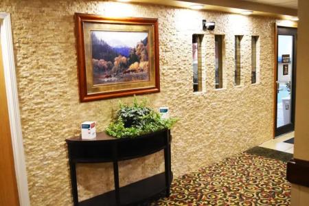 Comfort Inn & Suites - 15