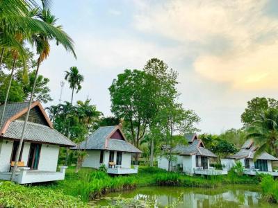 Bura Lumpai - 66