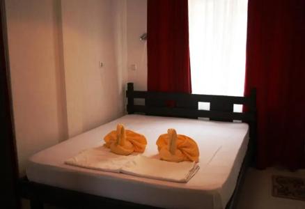 Zoya Guest House - 97