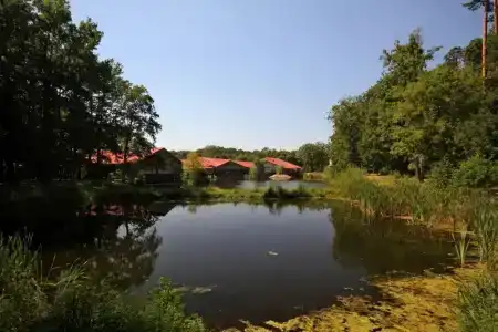 Stacja Nowa Gdynia Bed & Breakfast - 19