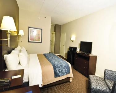 Comfort Inn - 52