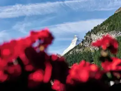 Ambassador Zermatt - 89