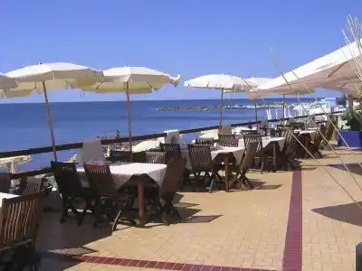 Cavalluccio Marino - 26