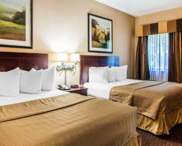 Quality Inn & Suites - 6