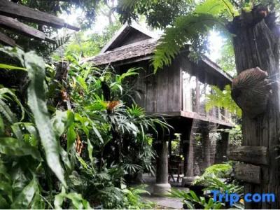 Fern Paradise - 29