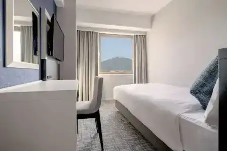 Four Points by Sheraton Hakodate - 105