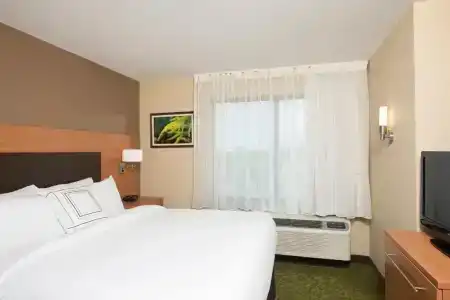 TownePlace Suites by Marriott South/Hamburg Place - 35