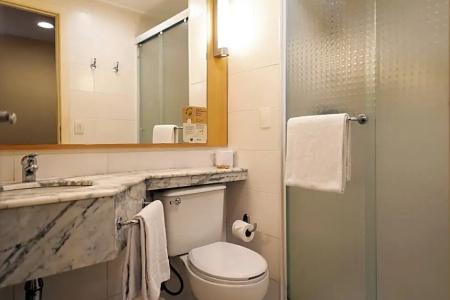 ibis Sao Paulo Barra Funda - 58