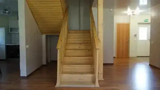 Аист - 11