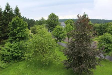 Rennsteig - 63