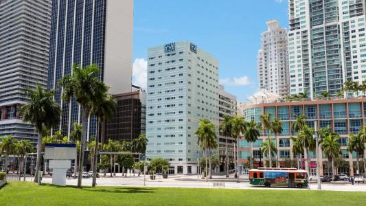 Yve Miami - 45