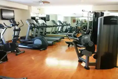 El Conquistador del Paseo de Montejo - 20