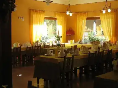 Plinia - 24
