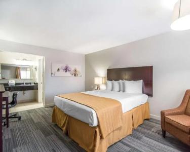 Quality Inn & Suites By the Parks - 47