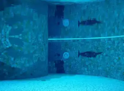 Aura - 16