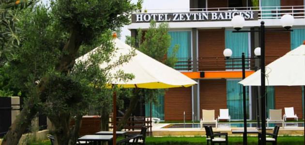 Zeytin Bahcesi - 9