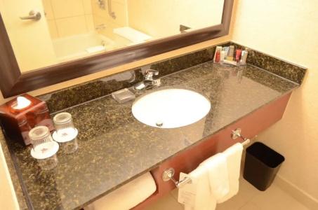 Houston Marriott North - 8
